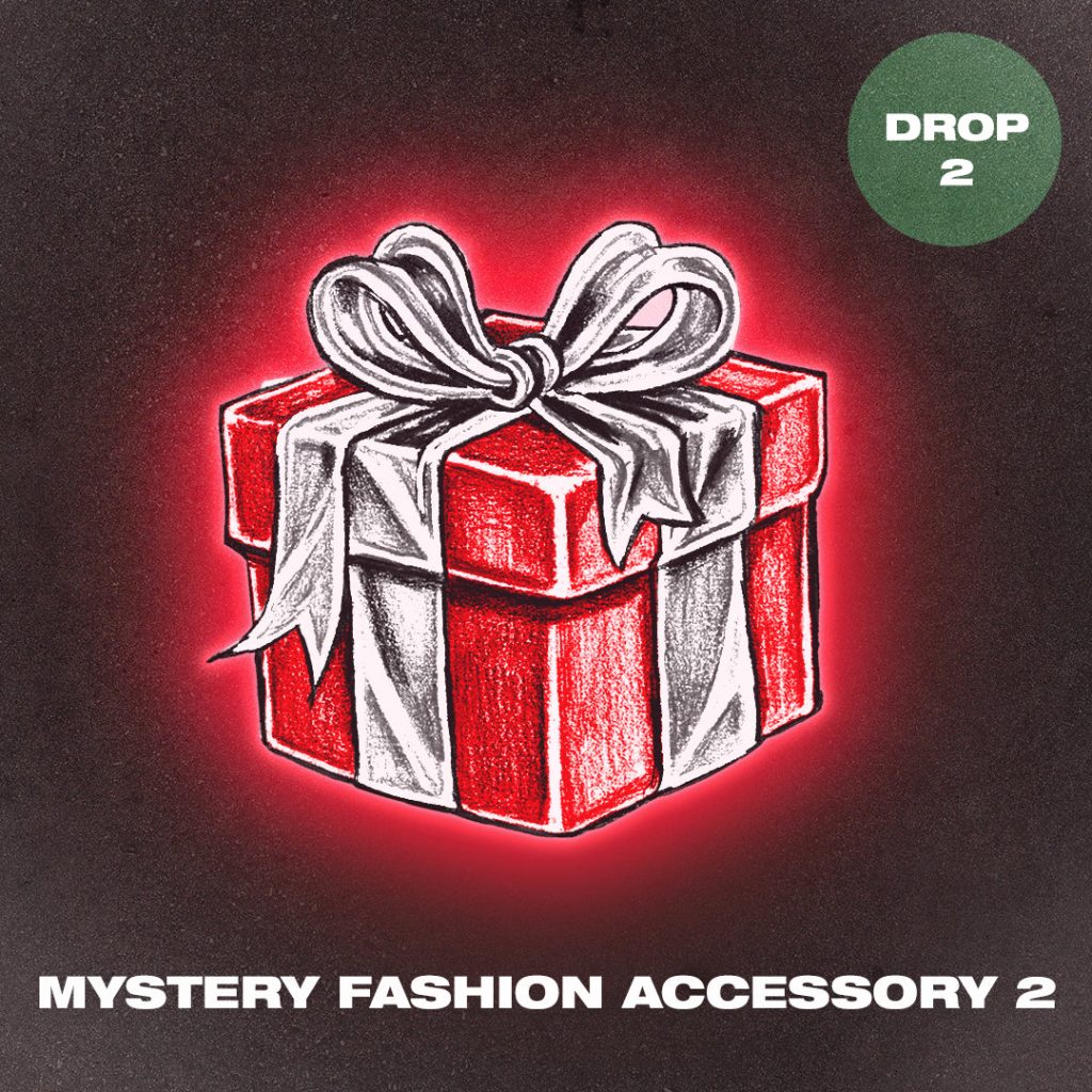 Mystery Fashion Accessory 2