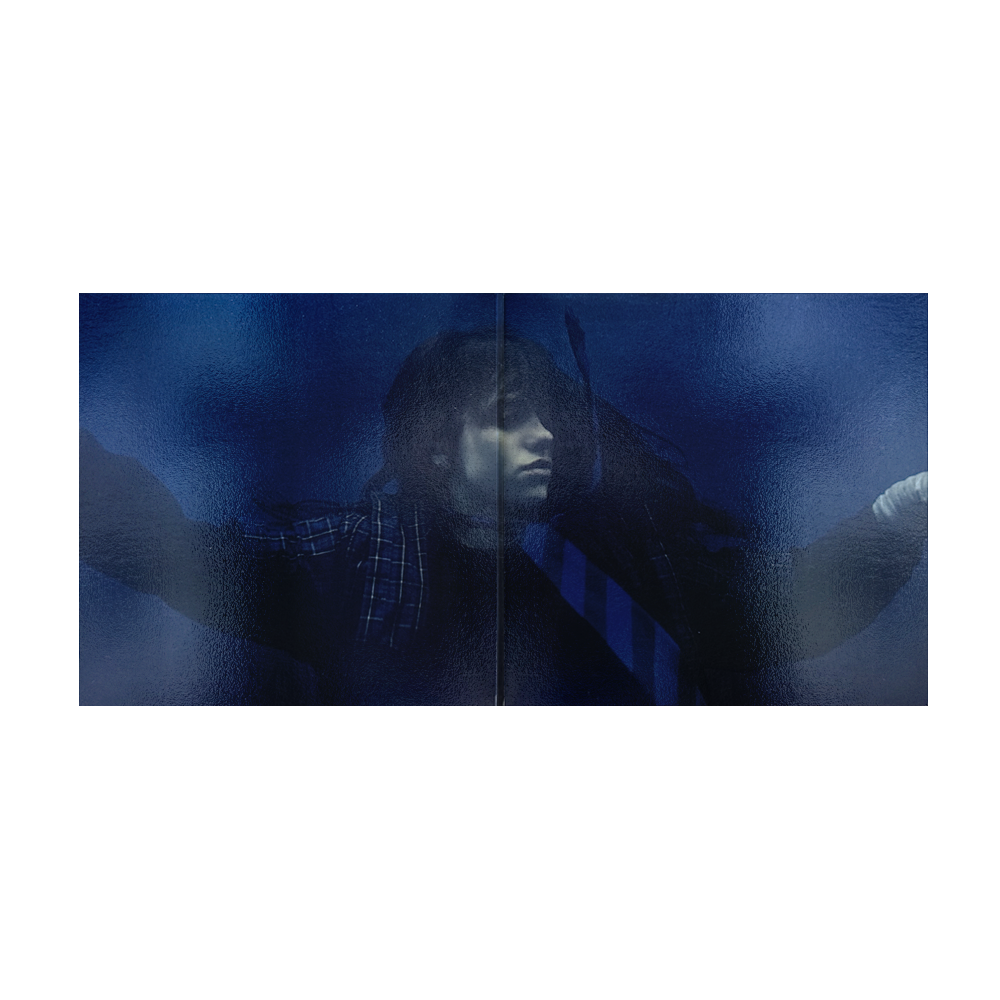 HIT ME HARD AND SOFT Anniversary Edition Vinyl - Image 6