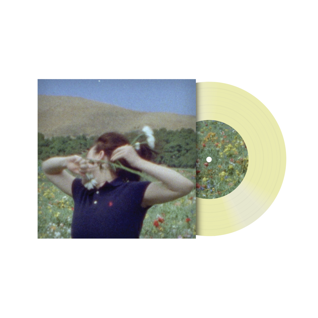 BIRDS OF A FEATHER 7 Vinyl [Translucent Green]