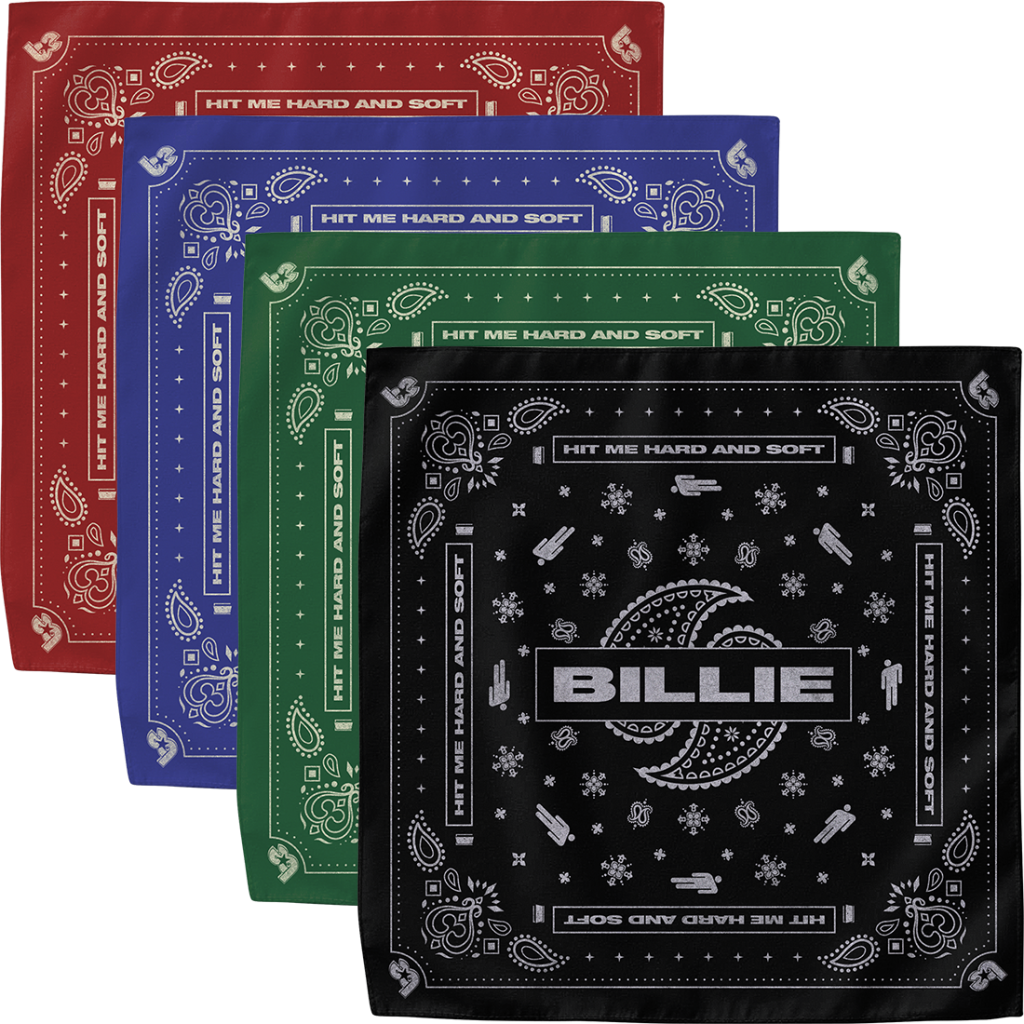 Paisley Bandana 4 Pack