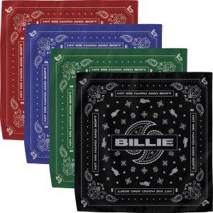 Paisley Bandana 4 Pack